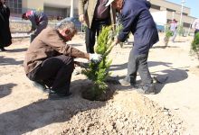 گزارش تصویری مراسم روز درخت کاری و تقدیر از نیروهای باغبانی دانشگاه
